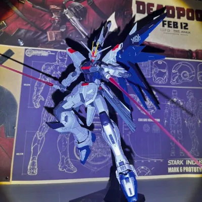 MG 1/100 Freedom Gundam Seed